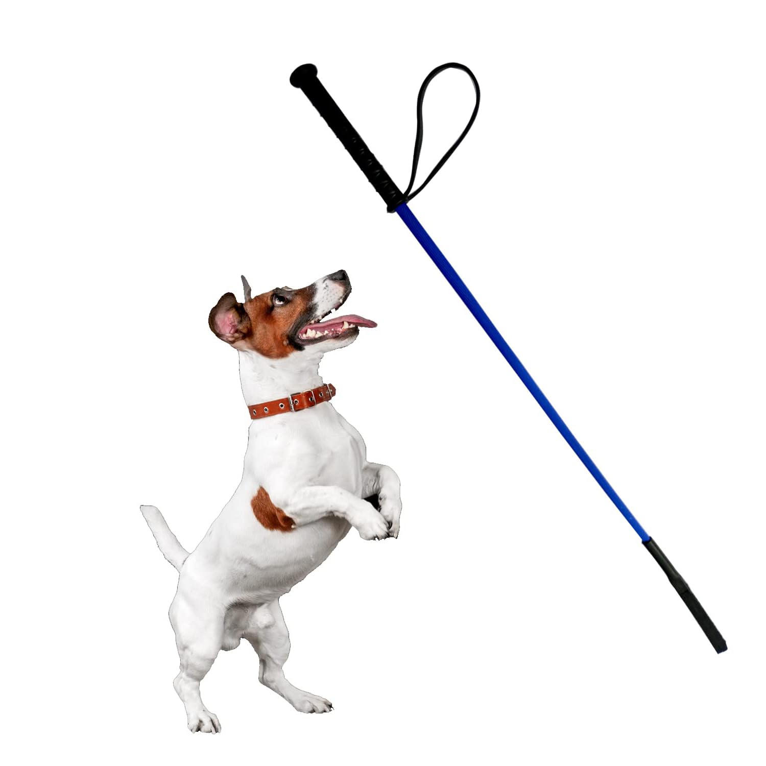 RvPaws Dog Training Hunter Stick Length: 30 inch/ 2.5 Feet, Soft and Easy to use Hunter Stick Will not Hurt Your pet (Color May Vary) (B0CKN1DWHC) Amazon Price History, Amazon Price Tracker