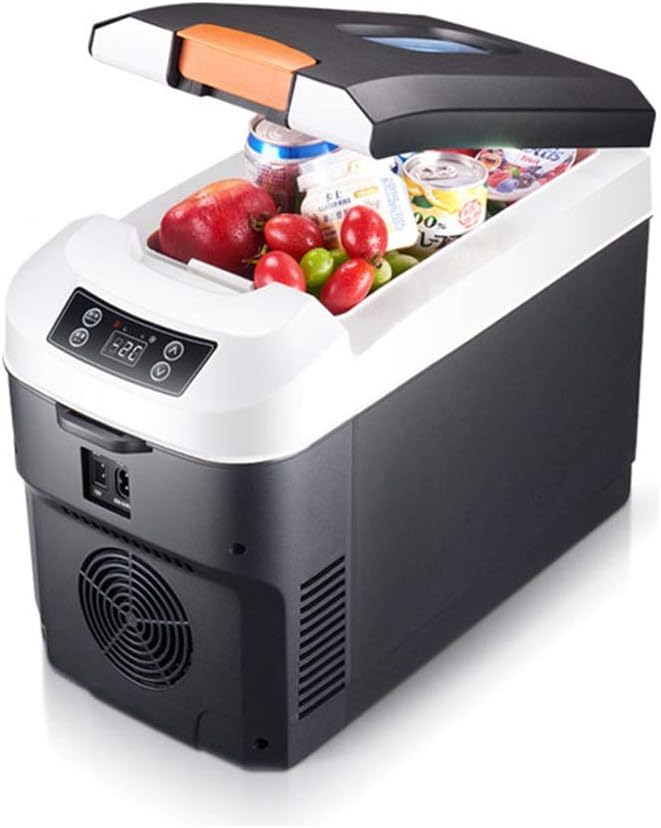 JWI Electric Cooler and Warmer for Car and Home with W Car