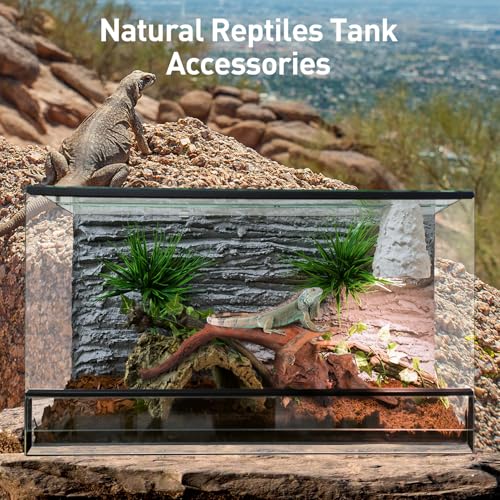 Image of WDEFUN Natural Driftwood for Aquarium Decor, 2-Piece 10''-14'' Large Driftwood for Decorations on Fish Tank, Reptiles Bearded Dragon Accessories or Air Plants