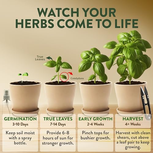 image for HOME GROWN Herb Garden Planter Indoor Kit – Unique Christmas Gift fo