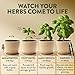 HOME GROWN Herb Garden Planter Indoor Kit – Unique Christmas Gift for Adults, Men, & Women - Grow 4 Heirloom Herb Seeds on Kitchen Window – Beginner DIY Craft & Hobby Gardening Gift for Plant Lovers