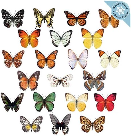 21 Butterfly Window Clings for Glass Windows and Doors | Window Decals for Birds Strikes | Anti Collision Window Stickers Decor | Decorative Butterflies Window Decals for Sliding Glass Doors