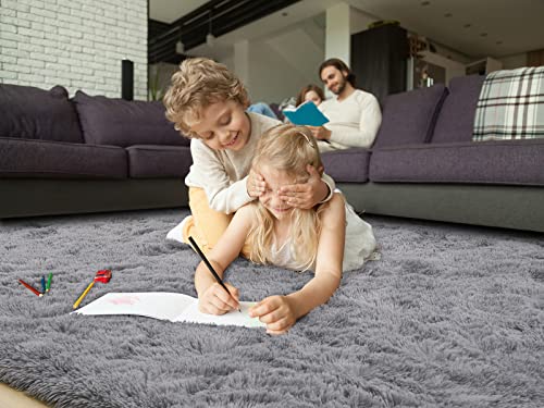 HOMORE Luxury Fluffy Area Rug Modern Shag Rugs for Bedroom Living Room, Super Soft and Comfy Carpet, Cute Carpets for Kids Nursery Girls Home, 8x10 Feet Gray