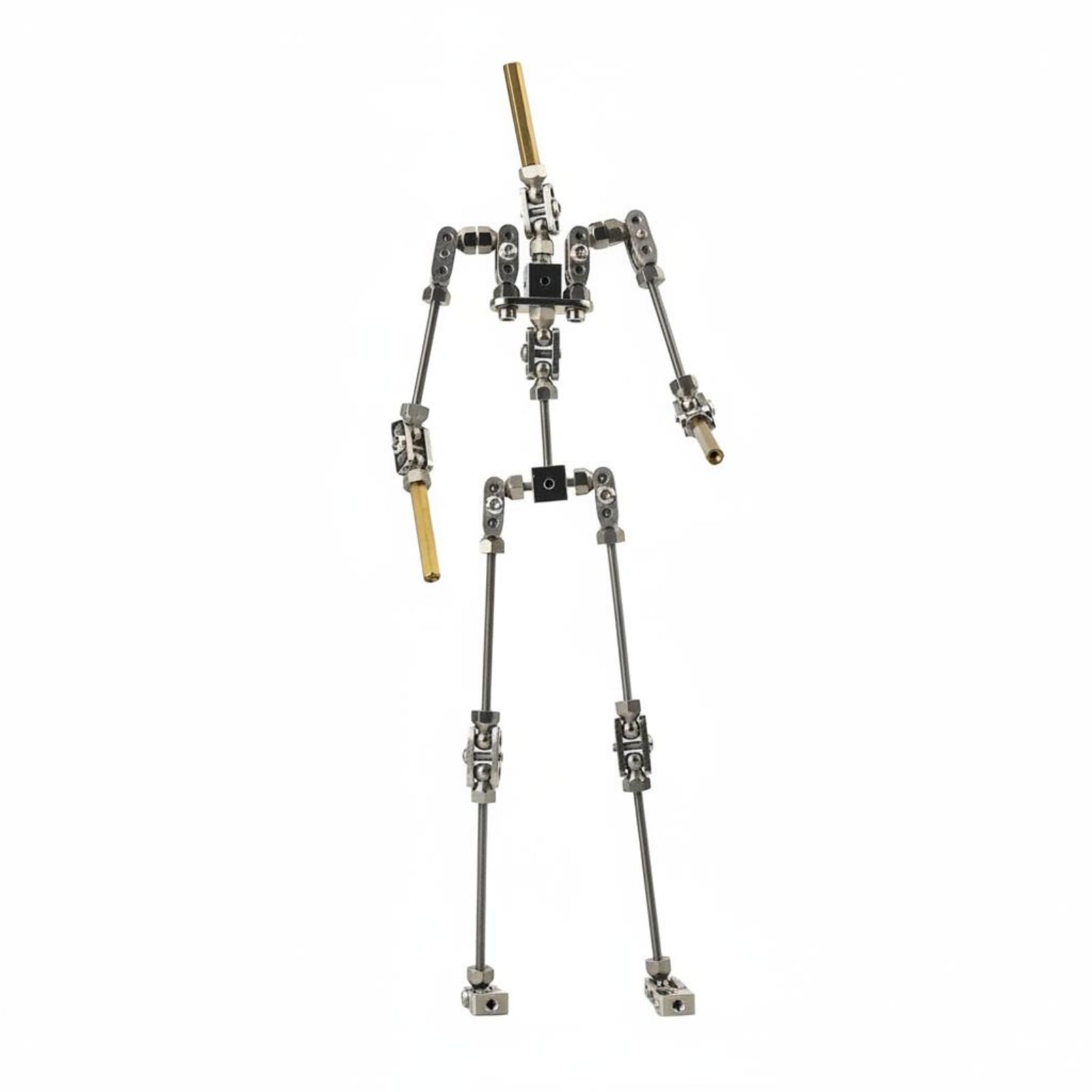 harayaa Animation Mannequin Frame Armature Squelette Marionnette Cadre Squelette Articulé Mannequin Métal Joints Verrouillables et Rotation Limitée Pose , 28 Cm