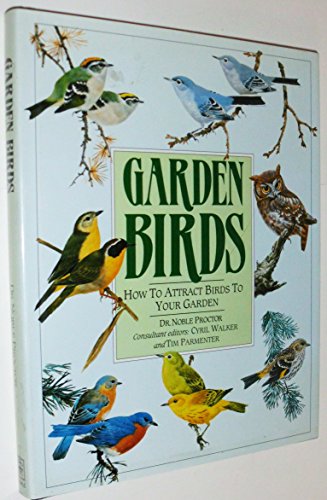 Garden Birds: How to Attract Birds to Your Garden Garden Birds: How to Attract Birds to Your Garden