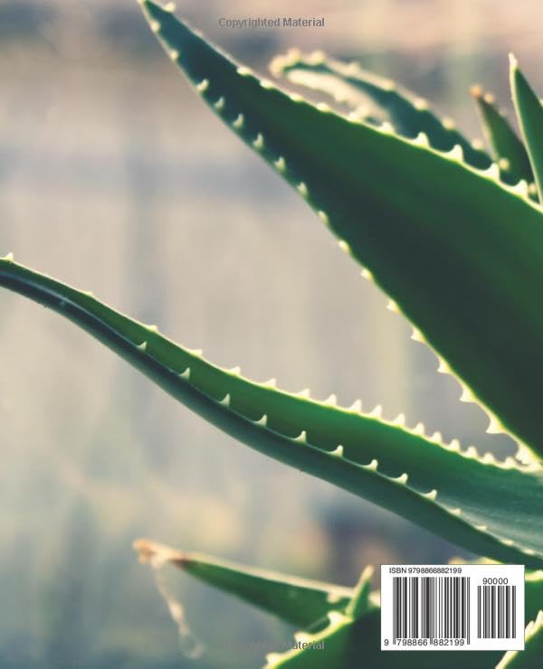 Miniatura 2 de Unlock the Power of Aloe Vera for Optimal Wellness Unlock the Healing Powers of Aloe Vera A Definitive Guide to Boosting Health and Wellness