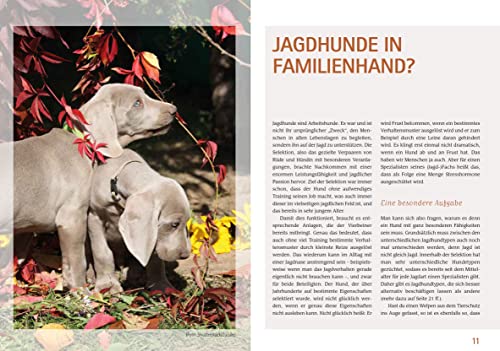 Wilde Welpen & kleine Jagdnasen: Jagdhundwelpen in Familienhand