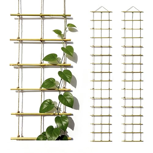Natural Bamboo Ladder Plant Trellis 79 in L x 12 in D Ideal for Climbing Plants Providing Reliable Support Suitable for Outdoor Walls Gardens patios and Similar Settings