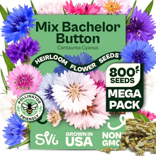 SVI 800 Bachelor Button Seeds for Planting (Centaurea cyanus) Cornflower Wildflower Mix Seed Packets Heirloom Flower Seeds to Plant Outside in Garden Borders and Containers