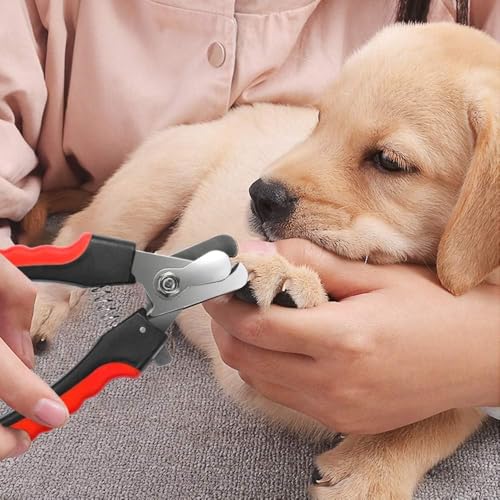 Image of Sandra 6-in-1 Pet Grooming Kit for Dogs & Cats Includes Self Cleaning Brush, Cat Comb, Steam Brush, Silic