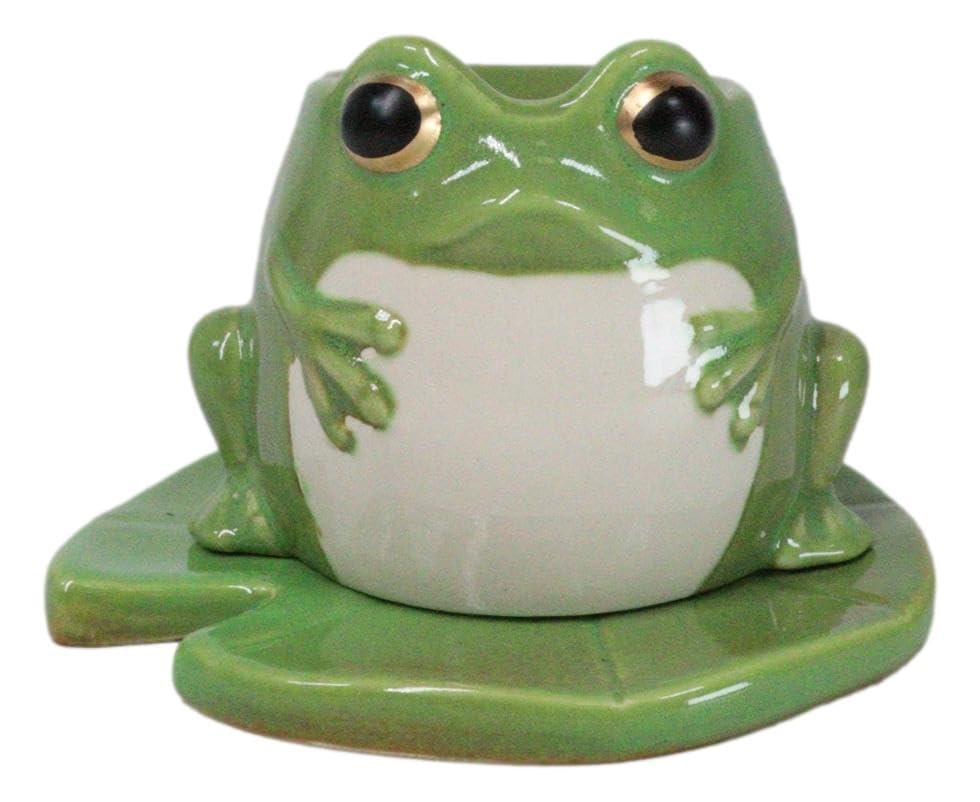 Amazon.com: Ebros Gift Animal Forest Whimsical Green Toad Frog On
