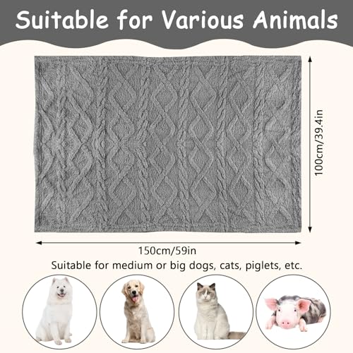 Neerow Hundedecke, 100x150 cm Katzendecke Sofa, Hunde Decke Waschbar, Fleece Haustier Decke Flauschig für Kleine und Mittelgroße Hunde, Katzen Kuscheldecke (Grau)