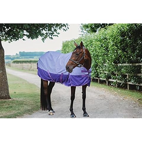 Equitack 600D Outdoor Winter Turnout Horse Rugs Waterproof 50G Fill Lavender/Purple 5'6 Cover