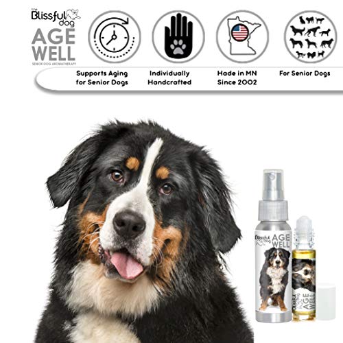 The Blissful Dog Bernese Mountain Dog Age Well Spray Aromatherapy The Blissful Dog Bernese Mountain Dog Age Well Spray Aromatherapy