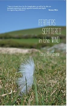 Paperback Feathers Scattered in the Wind Book