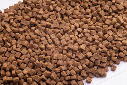 CLUB 4 PAWS Trockenfutter für kleine Hunderassen 4 kg + GRATIS