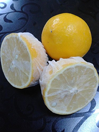 Lemon Wrap, Lemon Covers, Lemon Stretch Wraps, 100 Count Pack
