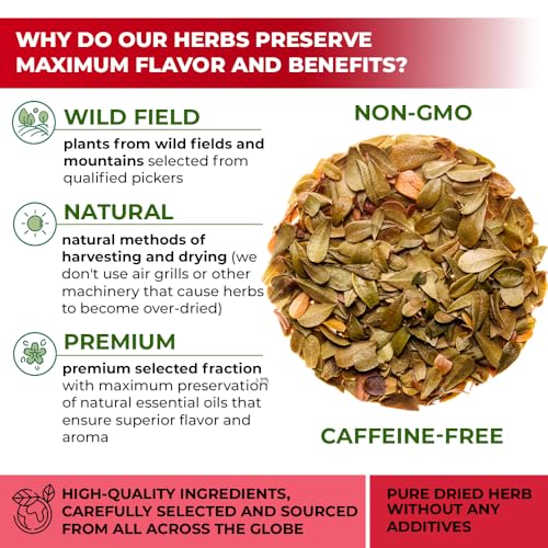 Image of 4 oz. Uva Ursi Leaf Uva Ursi Tea Herbal (Arctostaphylos Uva-Ursi) - 113g Uva-Ursi Herb Tea Arctostaphylos Uva-Ursi