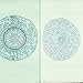 Typical Monocot and Dicot Roots, c.s., 12 m Microscope Slide