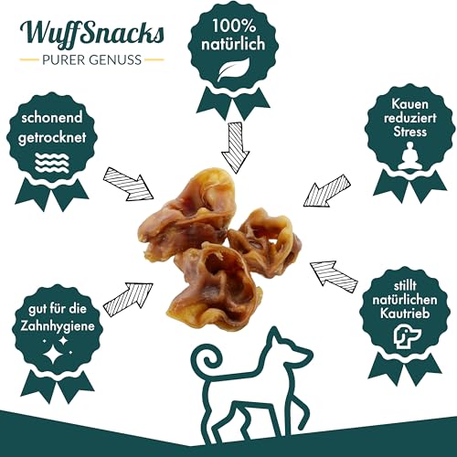 Schweineohrmuscheln für Hunde getrocknet | 1 kg | 100% Schwein | natürlich und hochwertig | Kauartikel zur Zahnpflege | Leckerli von Wuffsnacks