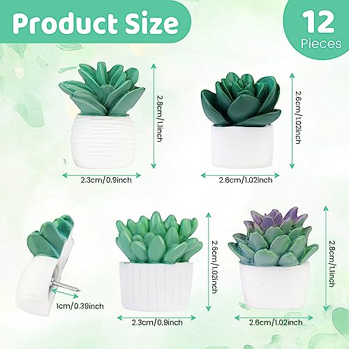 Temoyj Decorative Pushpins,12Pcs Succulent Push Pins,Cork Board Tacks,Bulletin Board Tacks,Thumb Tack Decorative For Corkboard, Office Organization Or Home #TOP1