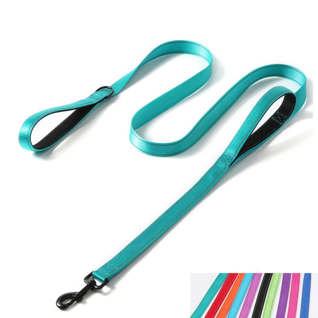 Double Handle Dog Leash 6ft, Reflective Nylon with Padded for Extra Control Outside Durable Training Lead for Small Medium Large Breed Pet Dogs, 1-Inch Width, Teal