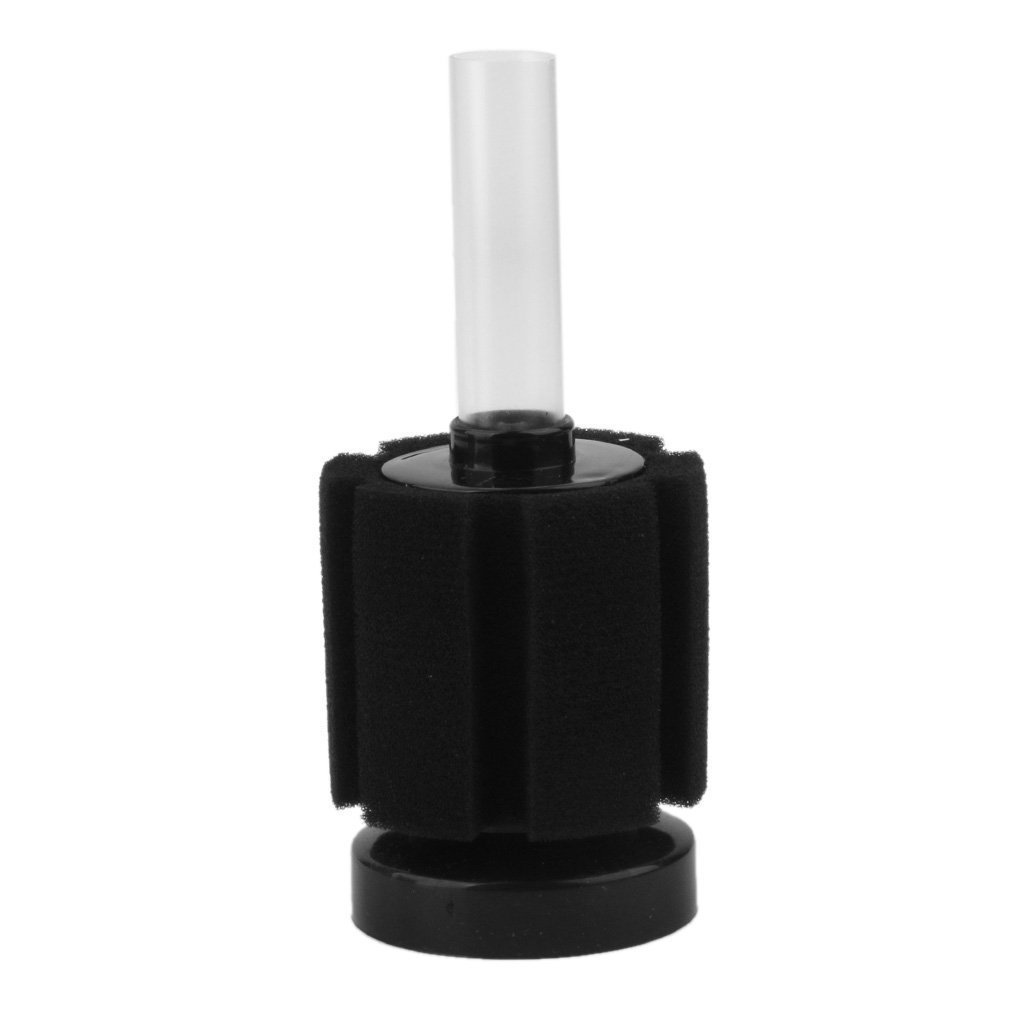 See full amazon price history chart for Vasuworld Mini Filtration Foam Aquarium Fish Tank Biochemical Sponge Filter Filtrator Vasuworld Mini Filtration Foam Aquarium Fish Tank Biochemical Sponge Filter Filtrator (B01N0L70FR) Amazon Price History, Amazon Price Tracker