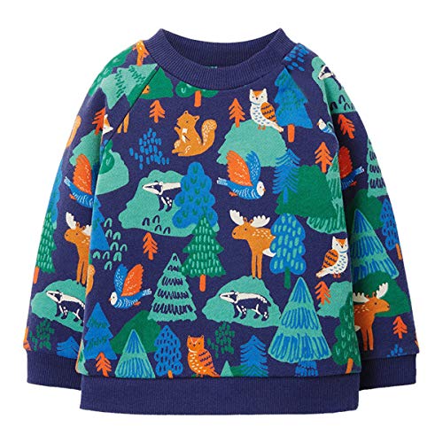 Baby Boys Girls Toddler Long Sleeve Cotton Crewneck Pullover Sweatshirt Christmas Cartoon Cute Top Shirt (3T, OWL)