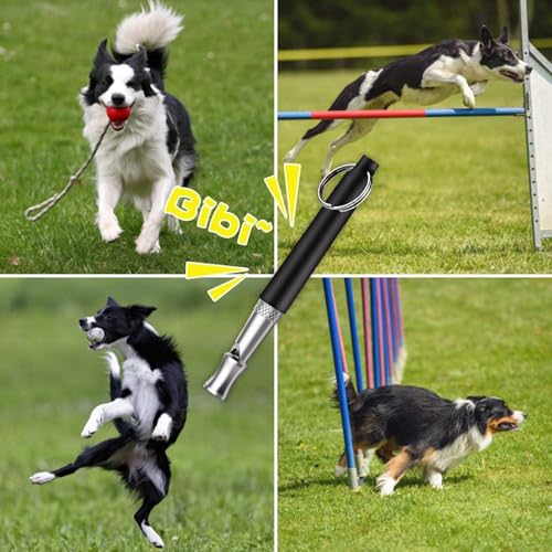 Diffaxy Hundepfeife, Ultraschall-Hundepfeife Hochfrequenz Lautlos, Verstellbare Frequenz Hunde -Trainingspfeife, Passend für die Meisten Rassen – Schwarz