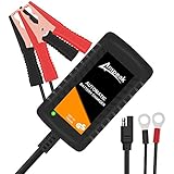 Cargador de Baterías, Ampeak 12V Mantenimiento Automático e Inteligente con...