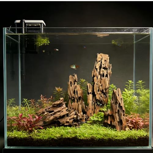 Image of 4 Pcs Natural Aquarium Driftwood Shrimp Wood, 3.94-5.91 inch (10-15cm) Assorted Branches & Trunk, Terrarium Ornament & Habitat Decor for Fish, Shrimp and Reptiles