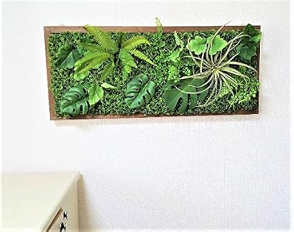 Amazon 人工観葉植物 壁面緑化 グリーンボード グリーンパネル グリーン壁掛け 触媒加工済み 人工観葉植物 オンライン通販 Amazon 人工観葉植物 壁面緑化 グリーンボード グリーンパネル グリーン壁掛け 触媒加工済み 人工観葉植物 オンライン通販