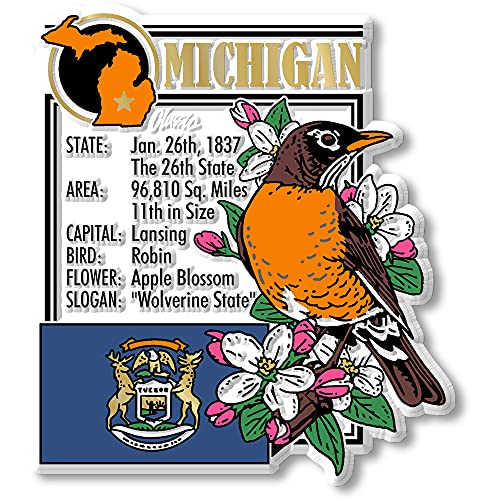 Set de 6 imanes de Michigan estilo vintage miniatura 2