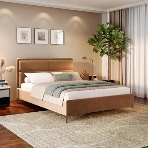 Image of Wakefit Bed | Queen (78 X 60) Solid Wood Bed, Upholstered, Without Storage, 3 Year Warranty - Zewail - Napoli Tan