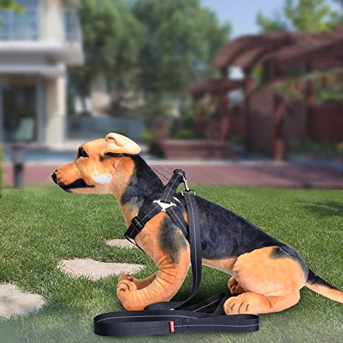 DECDEAL Arnês para animais de estimação OSOSE com conjunto de trela de 59 polegadas para andar à pro