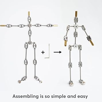 DIY Studio Stop Motion Armature Kits, DIY Metal Puppet Figure Skeleton, Easy to Assemble, Animated Character Design, for Stop Motion Animation