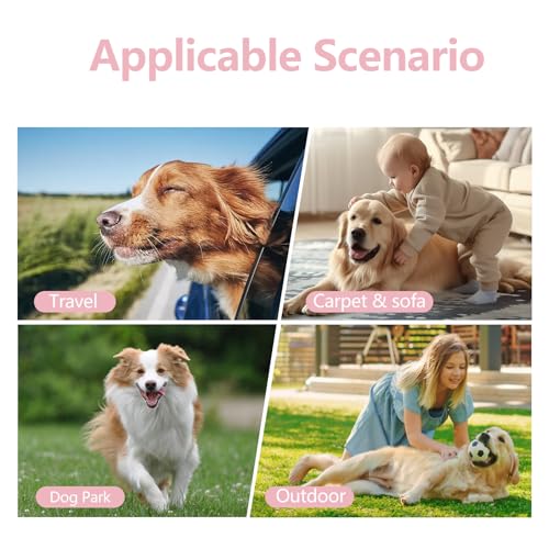 3 Stück Wiederverwendbare Hundewindeln, Hochsaugfähige hundehöschen, hündin läufig Windeln für läufige Hündinnen, Menstruationshöschen für Hündinnen, Schwarz Rosa Lila-S