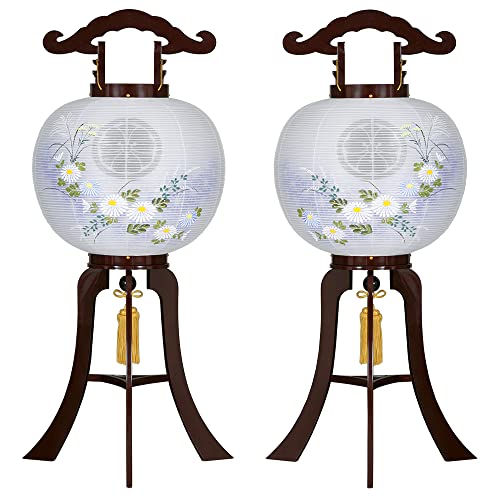 d cX y~񓔁EƖz Ɩ ~  Ε s 11 7931-W()80cm×Α܌a33cm ` Ɩ ؖt