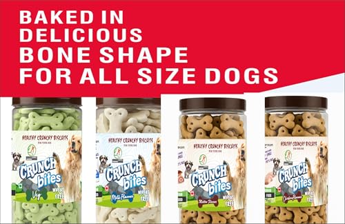 Image of Wheat-Free Veg Dog Biscuits - Healthy Crunchy Biscuits Treats for Dogs of All Breeds and Sizes - Vegetarian Snacks for Puppies, Adults & Seniors (800g)
