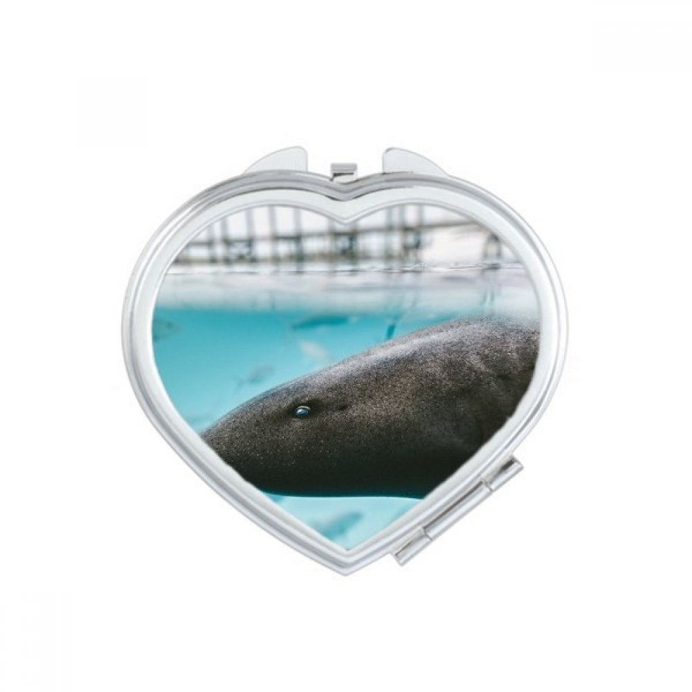 Miroir de maquillage compact océan baleinier rond de poche