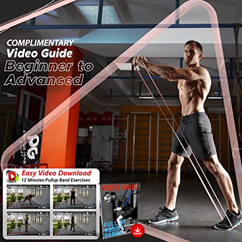 Physix Pull Up Assistance Bands - Looped Resistance Bands, Workout Rubber Bands For Exercise Hiit Muscle Toning Stretching Powerlifting Physical Therapy Pilates Yoga (1 Pink Band, Light Strength #TOP3