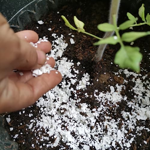 Quail PlantShellz - Nutrición natural para plantas miniatura 3