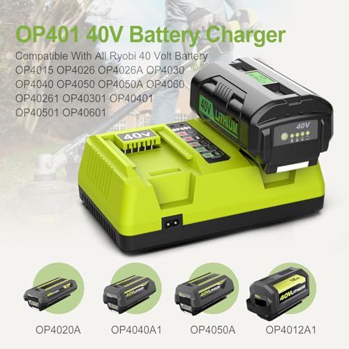 Cargador de baterías de 40V para el mantenimiento del jardín 3