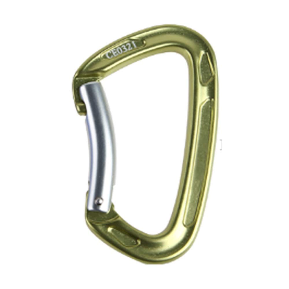 Mousqueton en Acier Inoxydable Clip Clip Crochet 2 Pièces Mousqueton en Aluminium Clip de Retenue en Forme de D à Ressort Porte Porte-clés Mousqueton Super Durable (Vert,100x62mm)