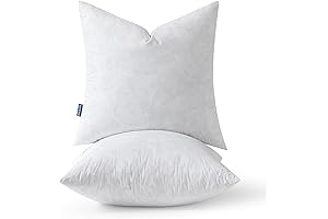 MIULEE Throw Pillow Inserts 22x22: Square Couch and Sofa Pillow Inserts