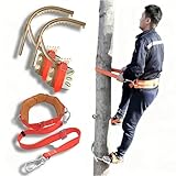 Photo Gallery yllffll picchetti per arrampicata sugli alberi, attrezzi professionali per arrampicata sugli alberi e kit di imbracatura, attrezzatura per arrampicata sugli alberi per adulti(type250mm) Photo Gallery yllffll picchetti per arrampicata sugli alberi, attrezzi professionali per arrampicata sugli alberi e kit di imbracatura, attrezzatura per arrampicata sugli alberi per adulti(type250mm)