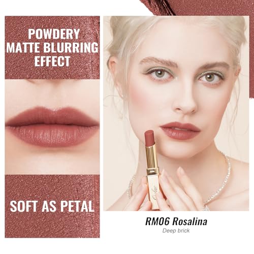 Image of Oulac Pink Nude Matte Lipsticks for Women, Silky Velvet Matte Lipstick, Soft Smooth Texture, High Impact Lip Color, Not Dry Lightweight Formula Infused with Vitamin E, Vegan&Cruelty Free RM06