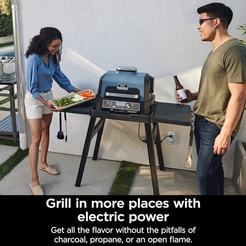 Ninja OG951 Woodfire Pro Connect Premium Xl Outdoor Grill & Smoker, Bluetooth, App Enabled, 7-In-1 Master Grill, Bbq Smoker, Outdoor Air Fryer, Woodfire Technology, 2 Built-In Thermometers thumb #10