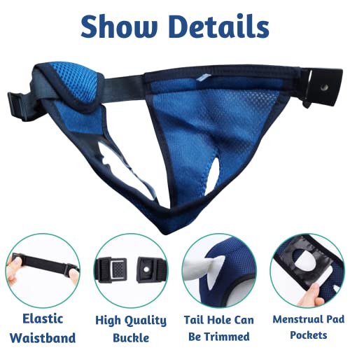 Image of Every Pet Reusable Diapers with 3 Replace Diaper,Breathable Mesh Washable Dogs Sanitary Pads,Menstruation Diapers Panties Adjustable Sanitary Briefs For Small Medium and Large Dogs(5PCS Blue,X-Large)