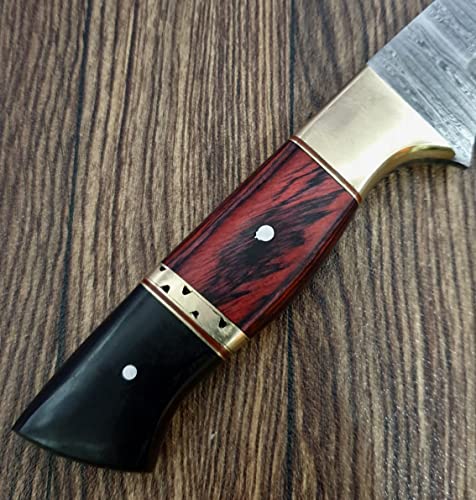 Poshland Handmade Damascus Steel 9 Inches Full Tang Skiner Knife (Bc-1096) #TOP3